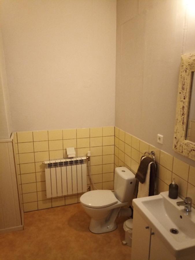 Zur Friedrichsruh Acomodação com café da manhã Oelsnitz Exterior foto